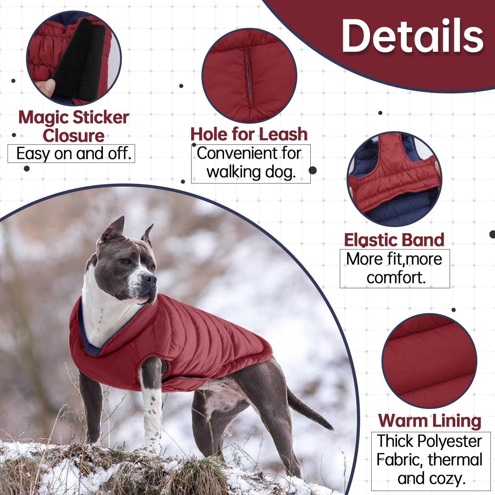 Abrigo de invierno LeLePet para perros grandes, resistente al agua.