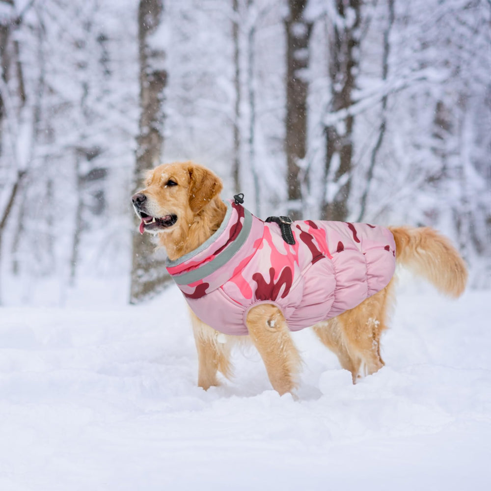 LeLePet abrigo de invierno rosa camuflaje, colores vivos para paseo con estilo