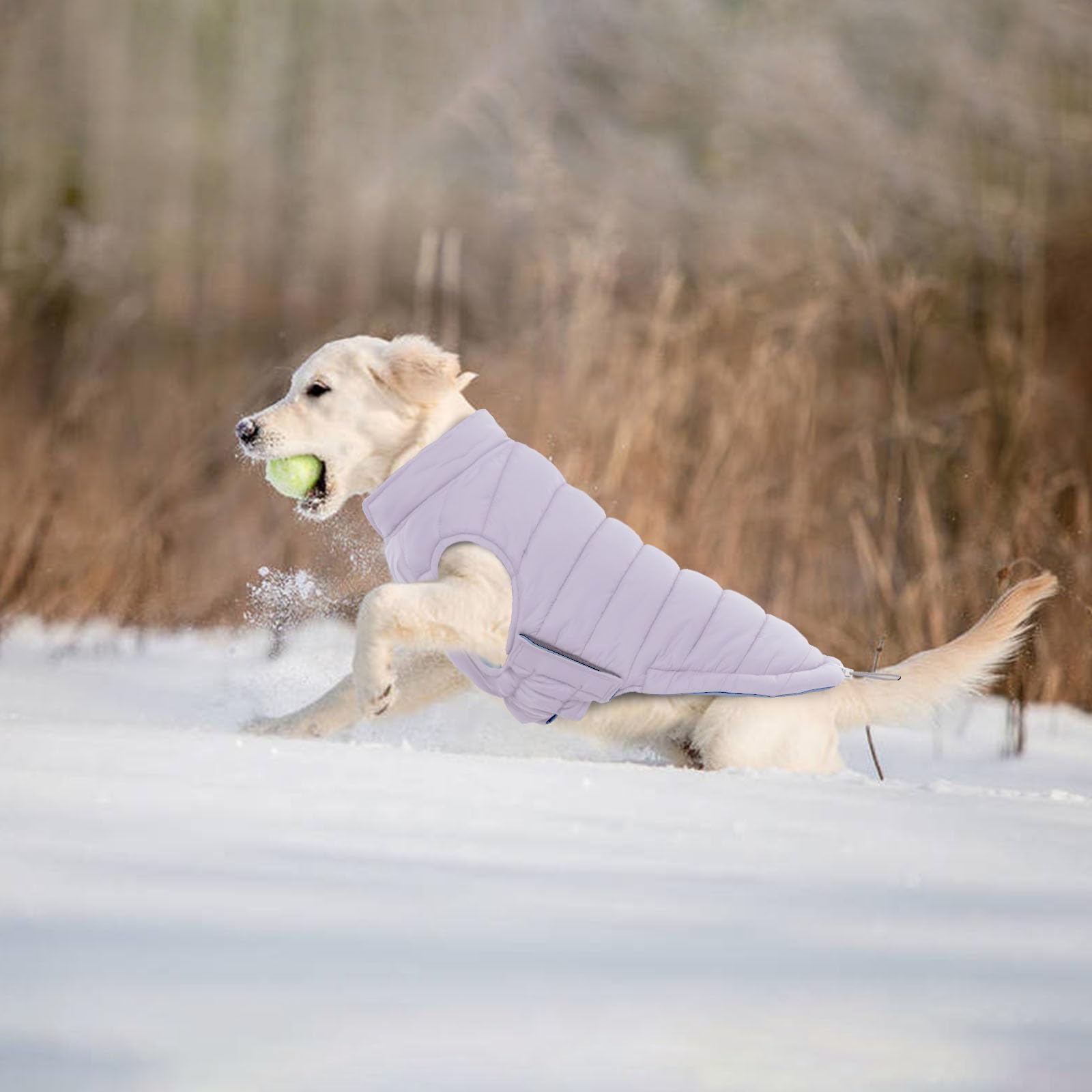 LeLePet abrigo ligero de invierno, ideal para paseos diarios