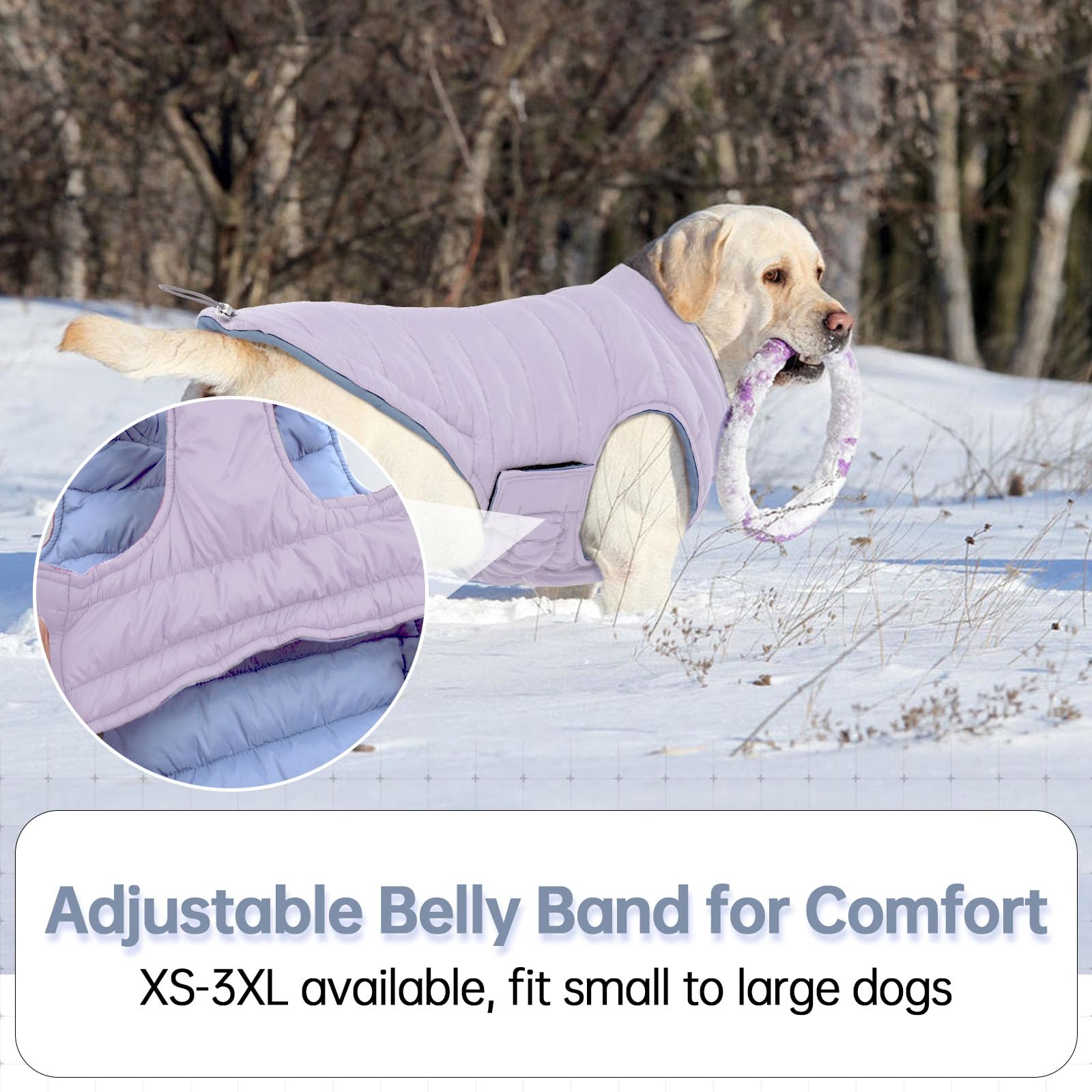 LeLePet abrigo talla 2XL para perros grandes, diseño espacioso