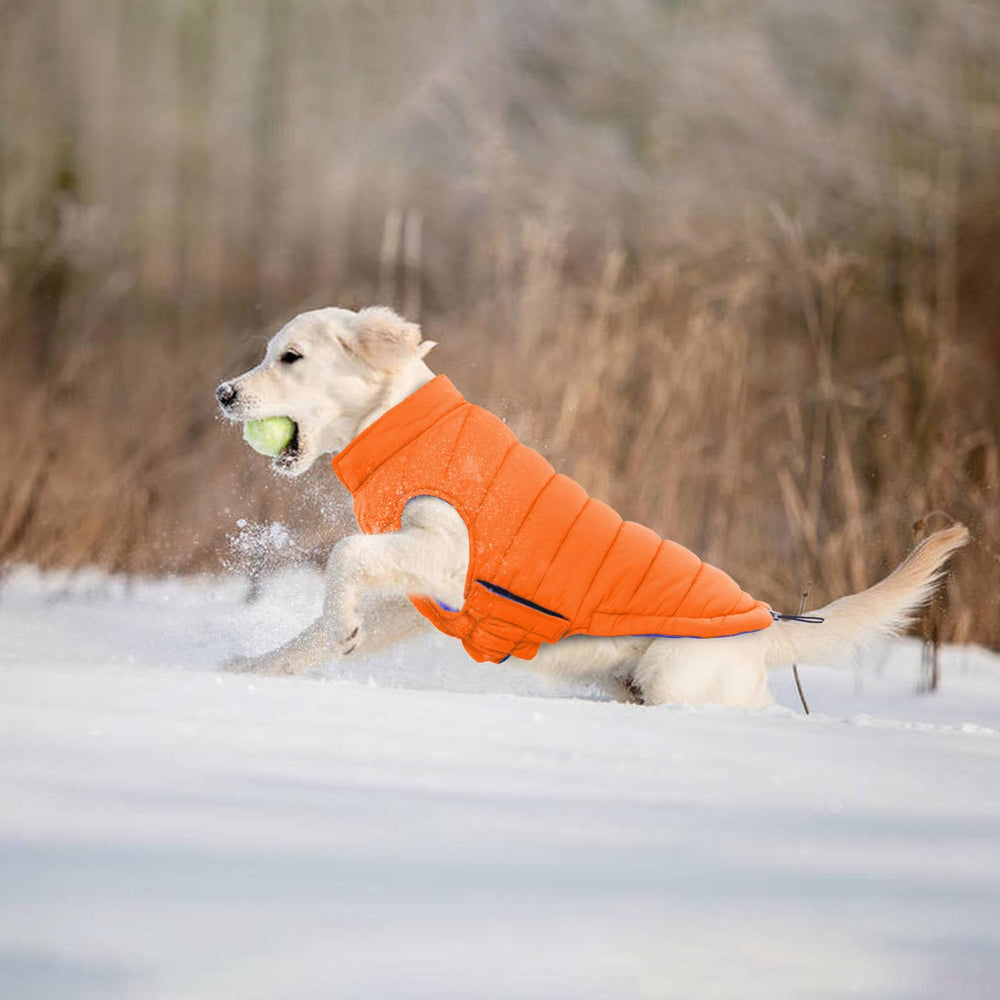 LeLePet abrigo talla 3XL, ajuste cómodo para perros grandes en clima frío.
