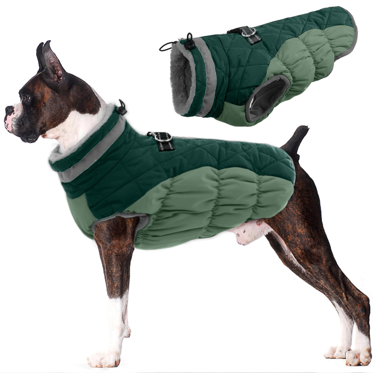 Abrigo LeLePet para perro grande en verde azulado, vista de espalda; ofrece calidez y protección contra el viento.