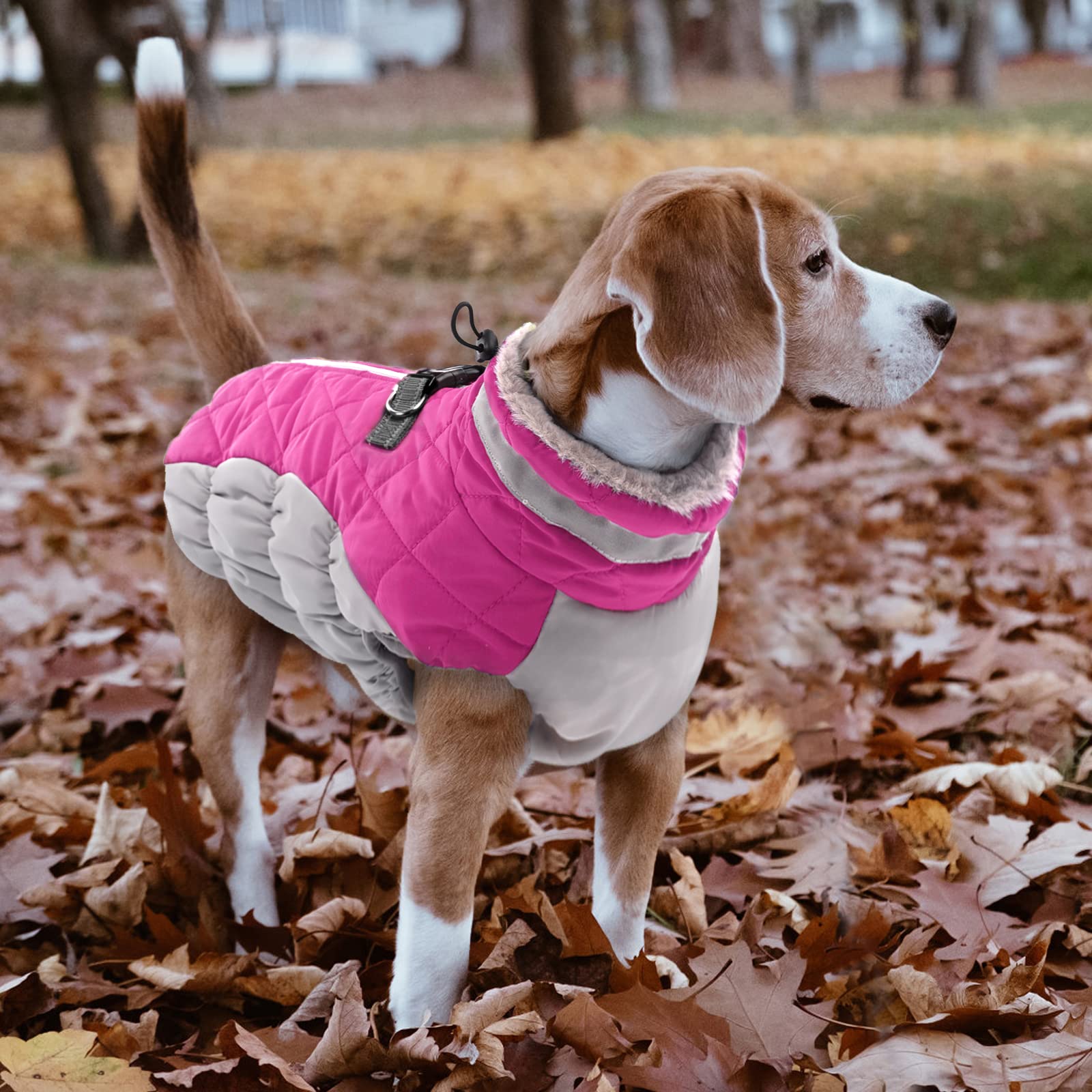LeLePet capa de perro con ajuste elastico en abdomen para confort seguro