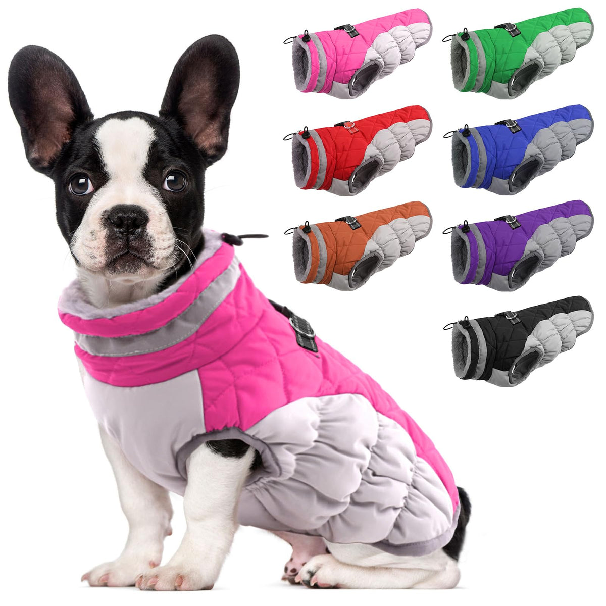 LeLePet capa-perro cálida de invierno con correa integrada, ideal para paseos seguros