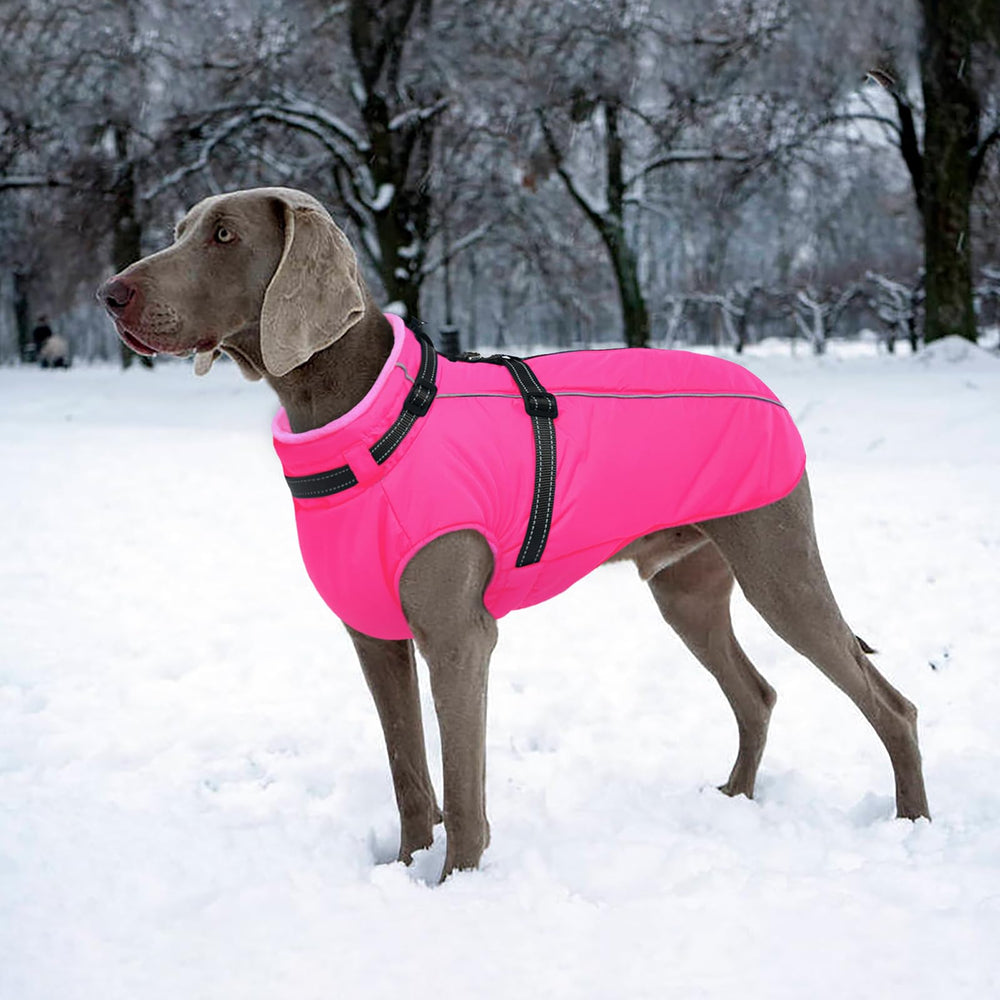 Lelepet capa perro ideal para actividades al aire libre, abrigo y protección.