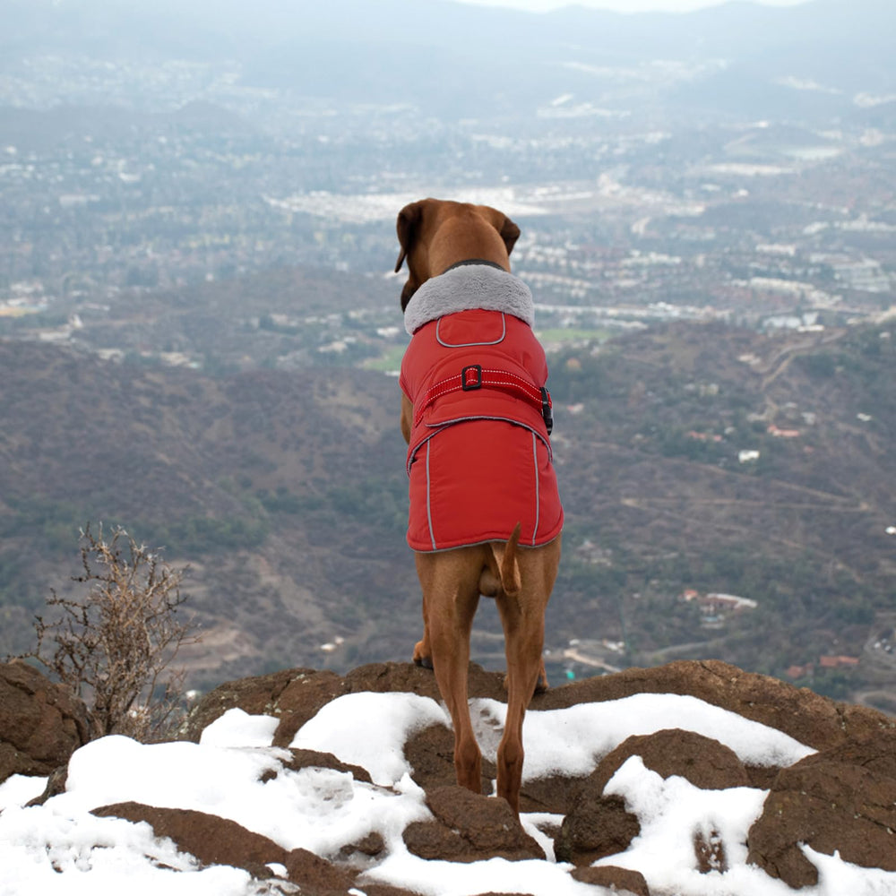 Lelepet abrigo perro impermeable y lavable a máquina para limpieza fácil