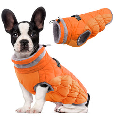 Abrigo LeLePet para perro en invierno acolchado aporta calor suave durante paseos.