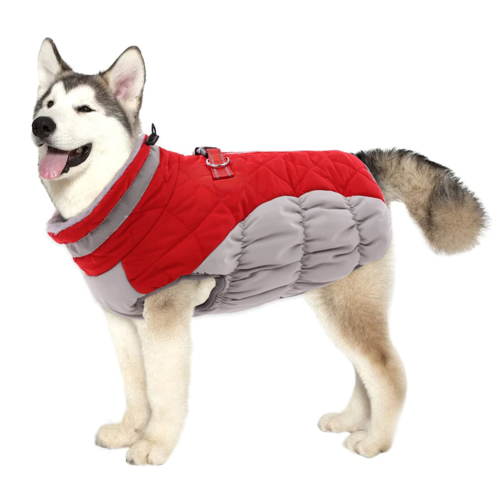 LeLePet capa de perro invernal cálida con correa, ideal para paseos fríos.