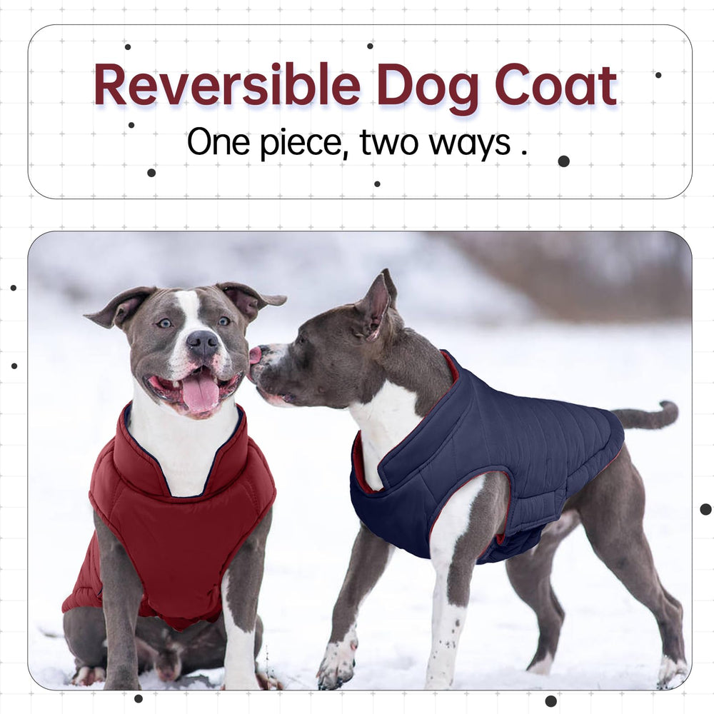 Chaleco acolchado LeLePet para perro, reversible, ofrece dos estilos.