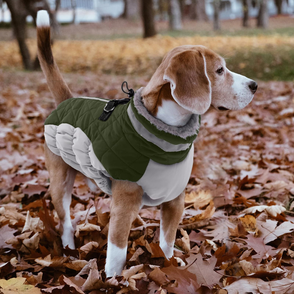 LeLePet chaleco perro ajuste cintura, contencion suave para movimiento libre