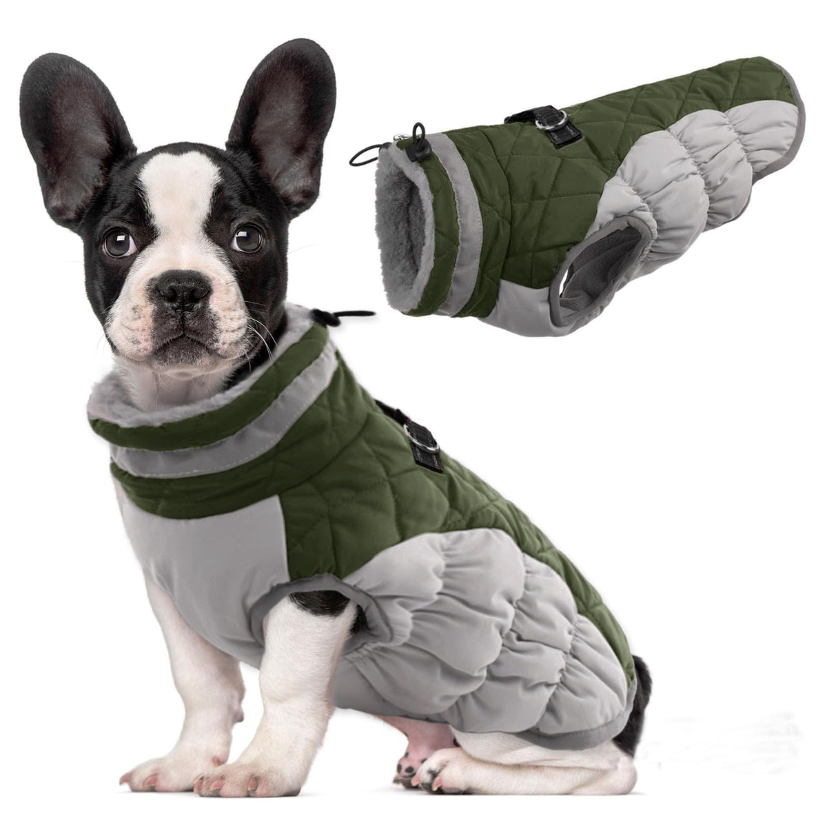 LeLePet chaleco perro invierno agua-resistente, perfecto para paseos en clima frío.