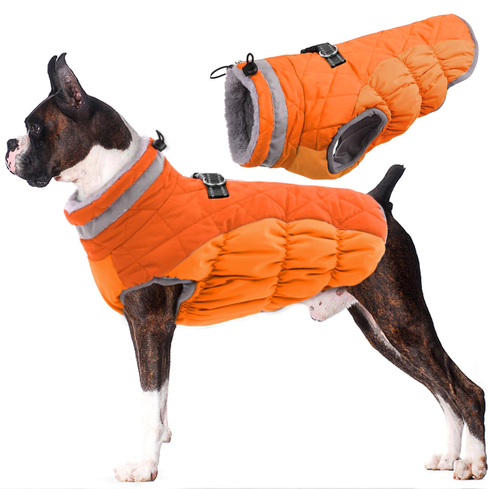 LeLePet chaleco perro invierno con correa integrada y reflectante para paseos nocturnos visibles.