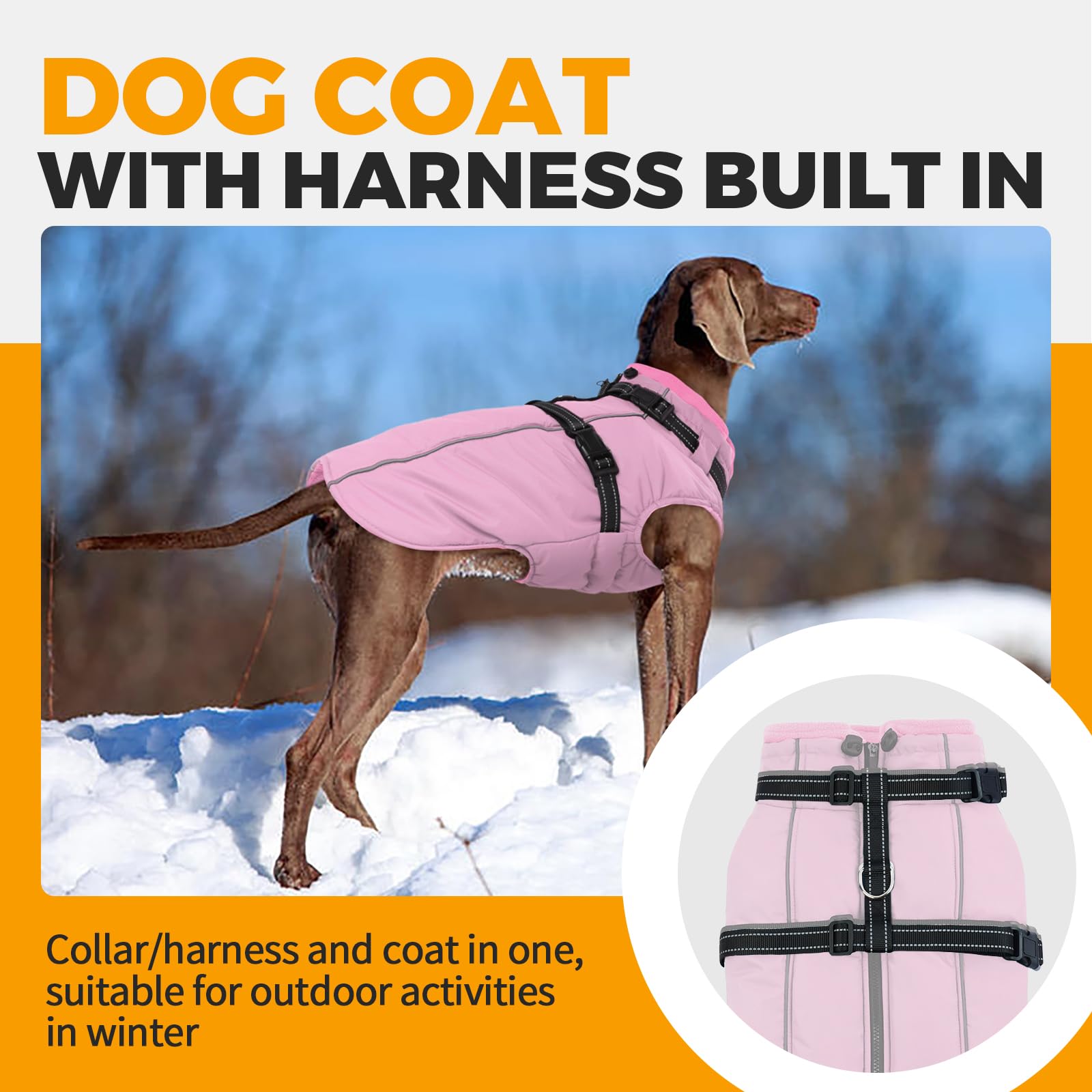 LeLePet chaqueta impermeable con forro polar, mantiene al can cálido incluso con lluvia.