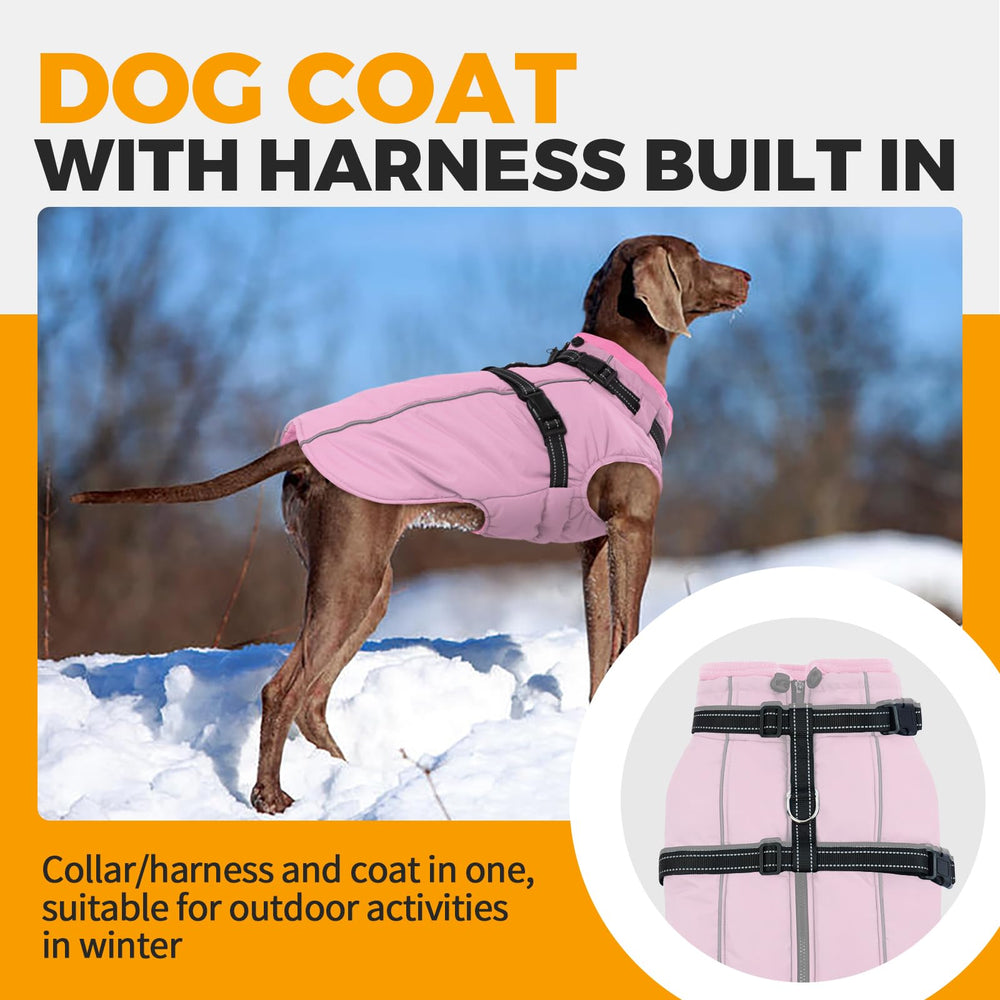 LeLePet chaqueta impermeable con forro polar, mantiene al can cálido incluso con lluvia.