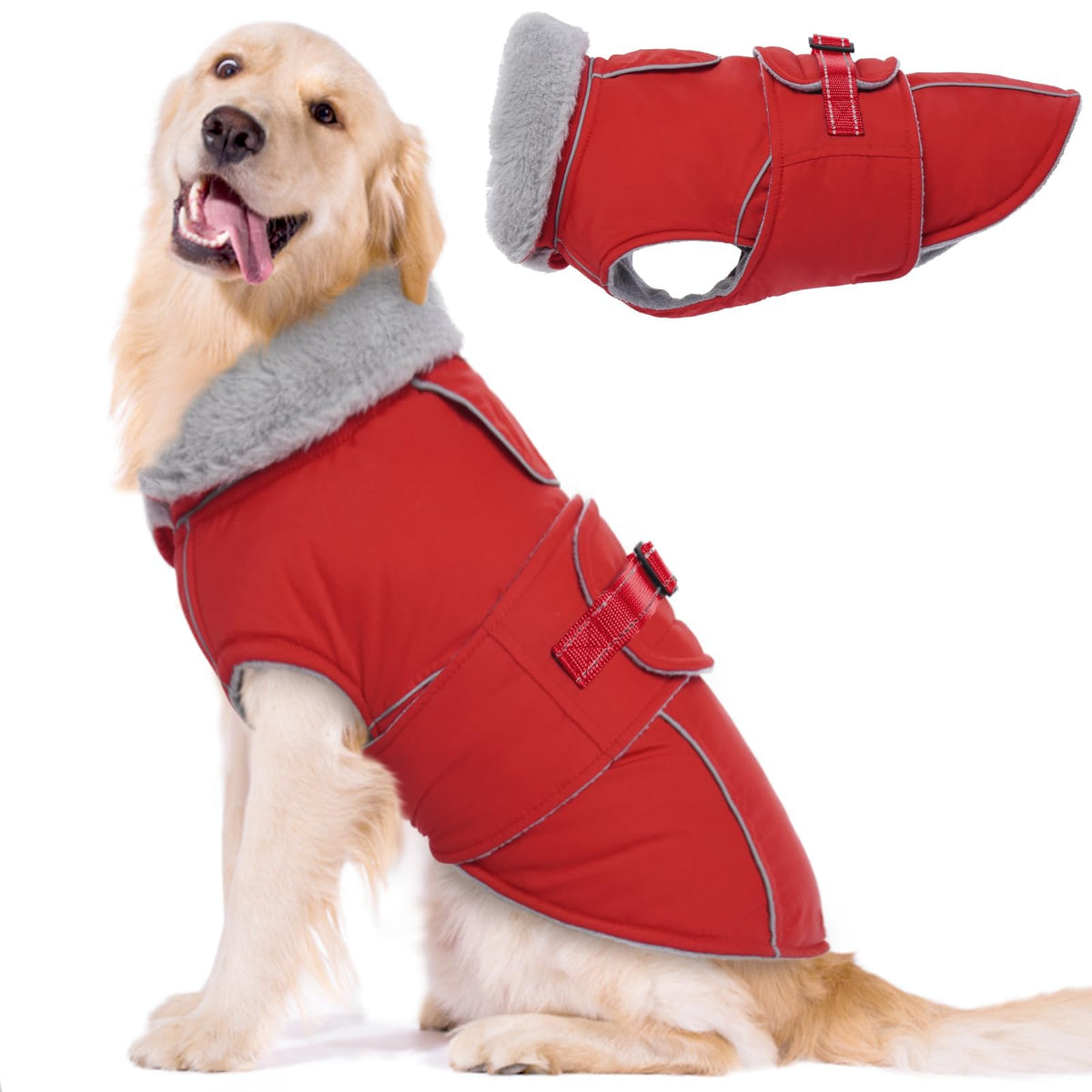 Lelepet chaqueta perro calida frente: abrigo cálido para paseos fríos.