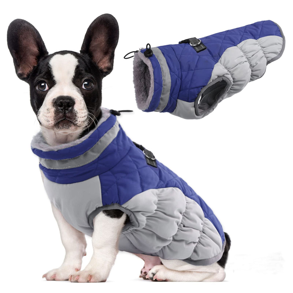 LeLePet chaqueta para perro cálida de invierno para paseos al aire libre