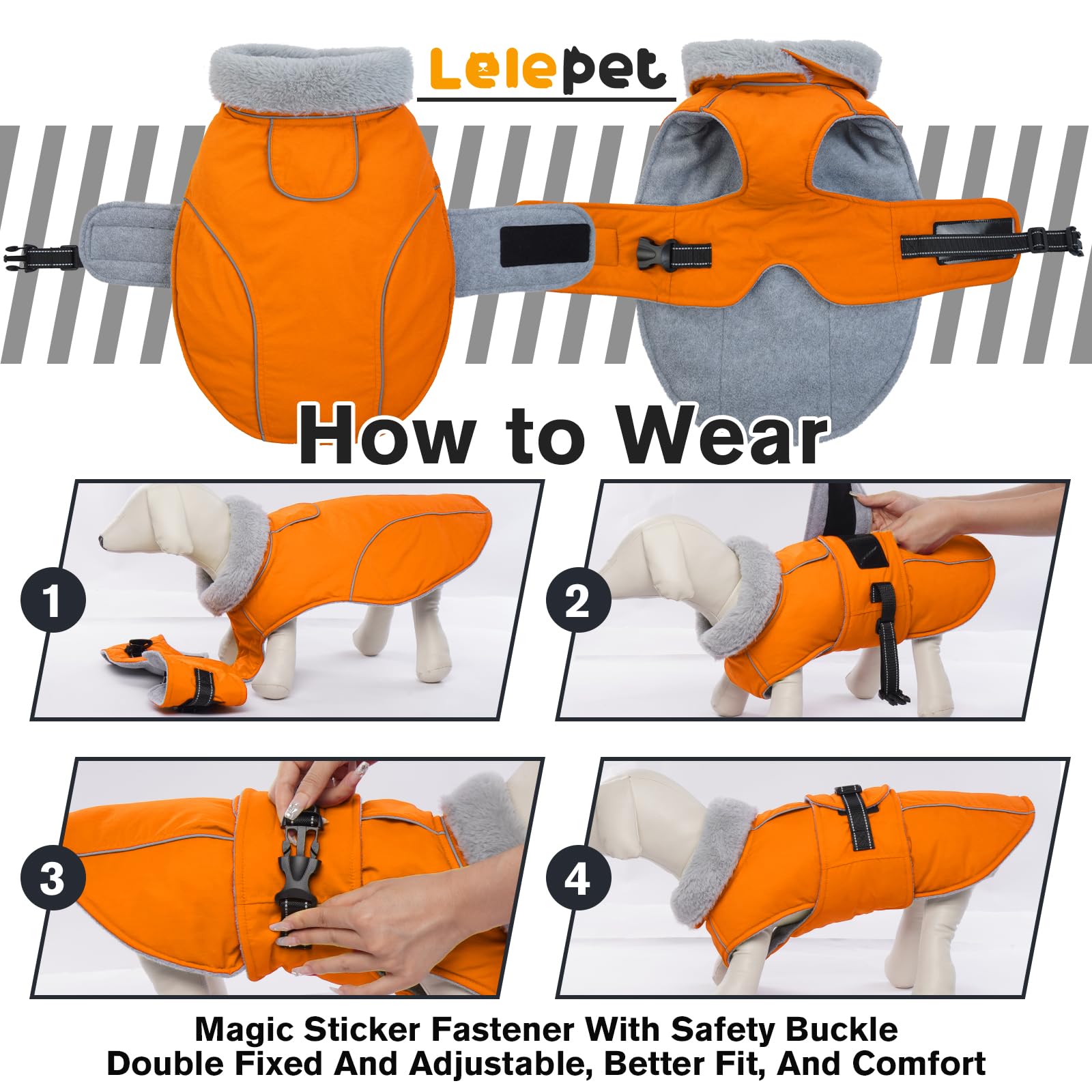 LeLePet diseño para actividades al aire libre con perro.