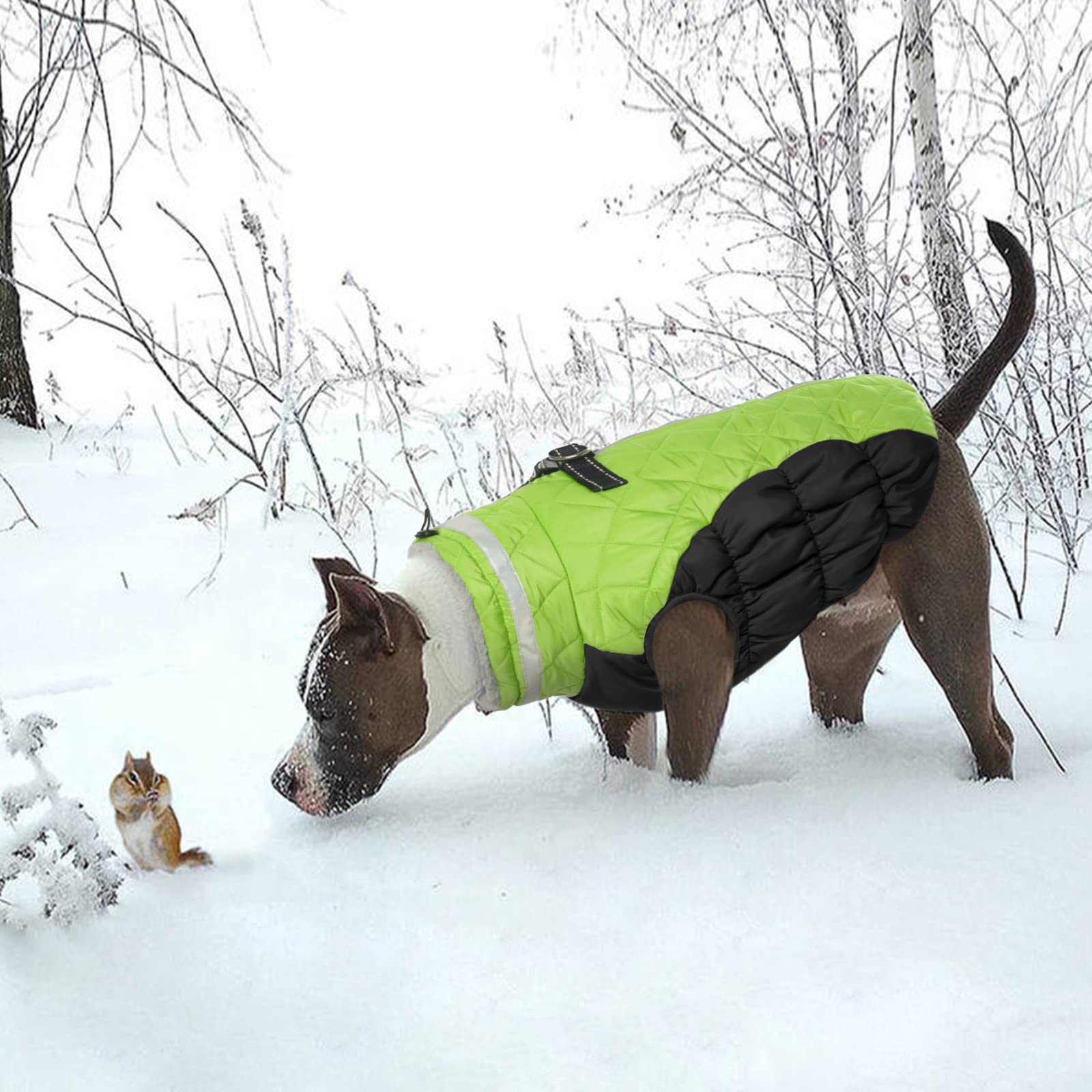 LelePet diseño apto para nieve, interior cálido y exterior resistente