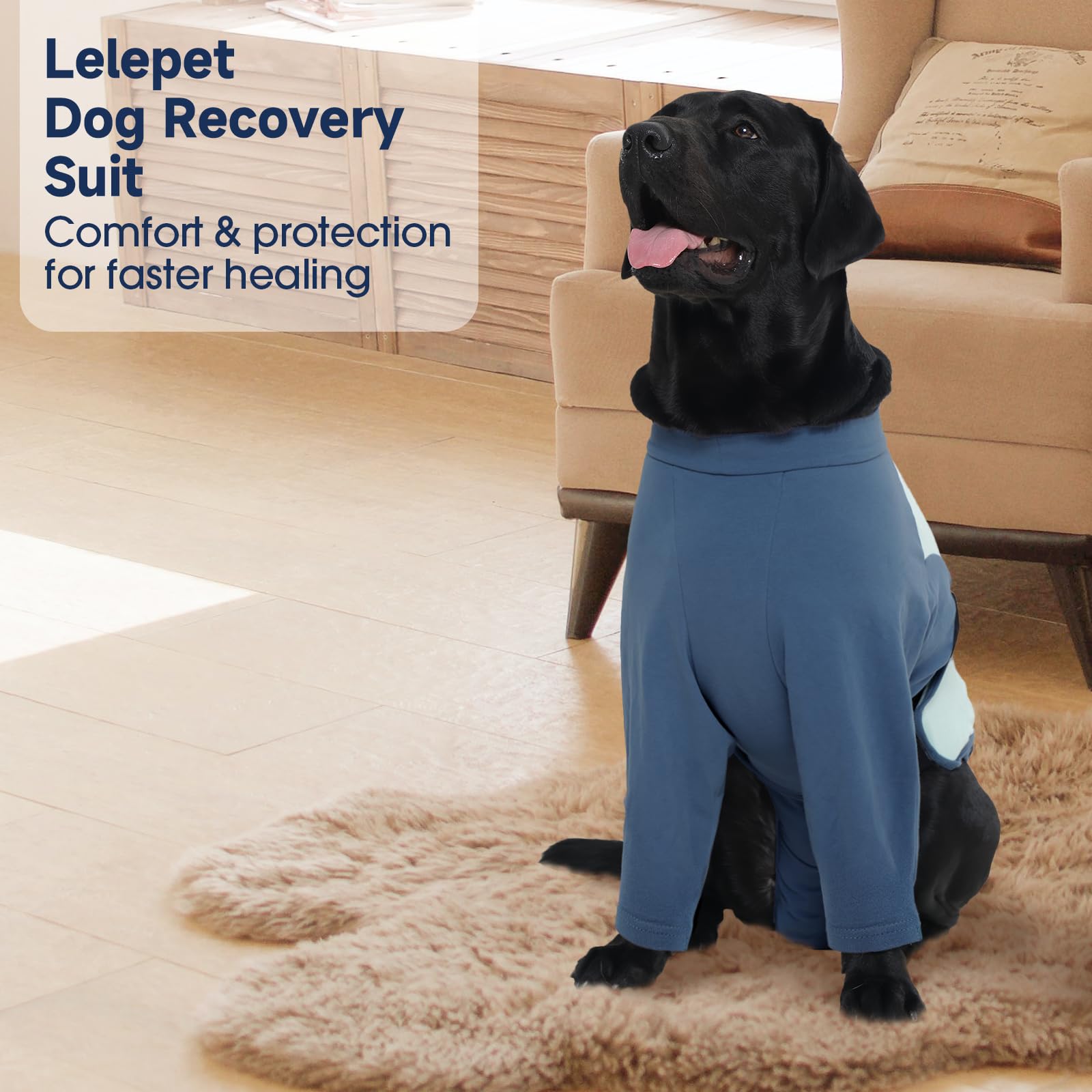 LeLePet Recovery Suit talla unisex XS a 3XL para perros de diferentes tamaños.