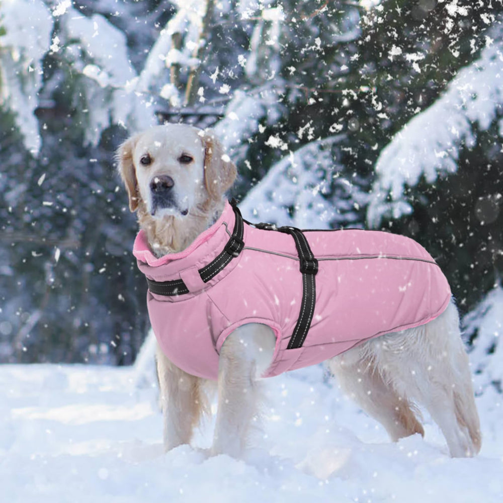 LeLePet abrigo rosa para perro mediano, ideal para Schnauzer durante paseos fríos.