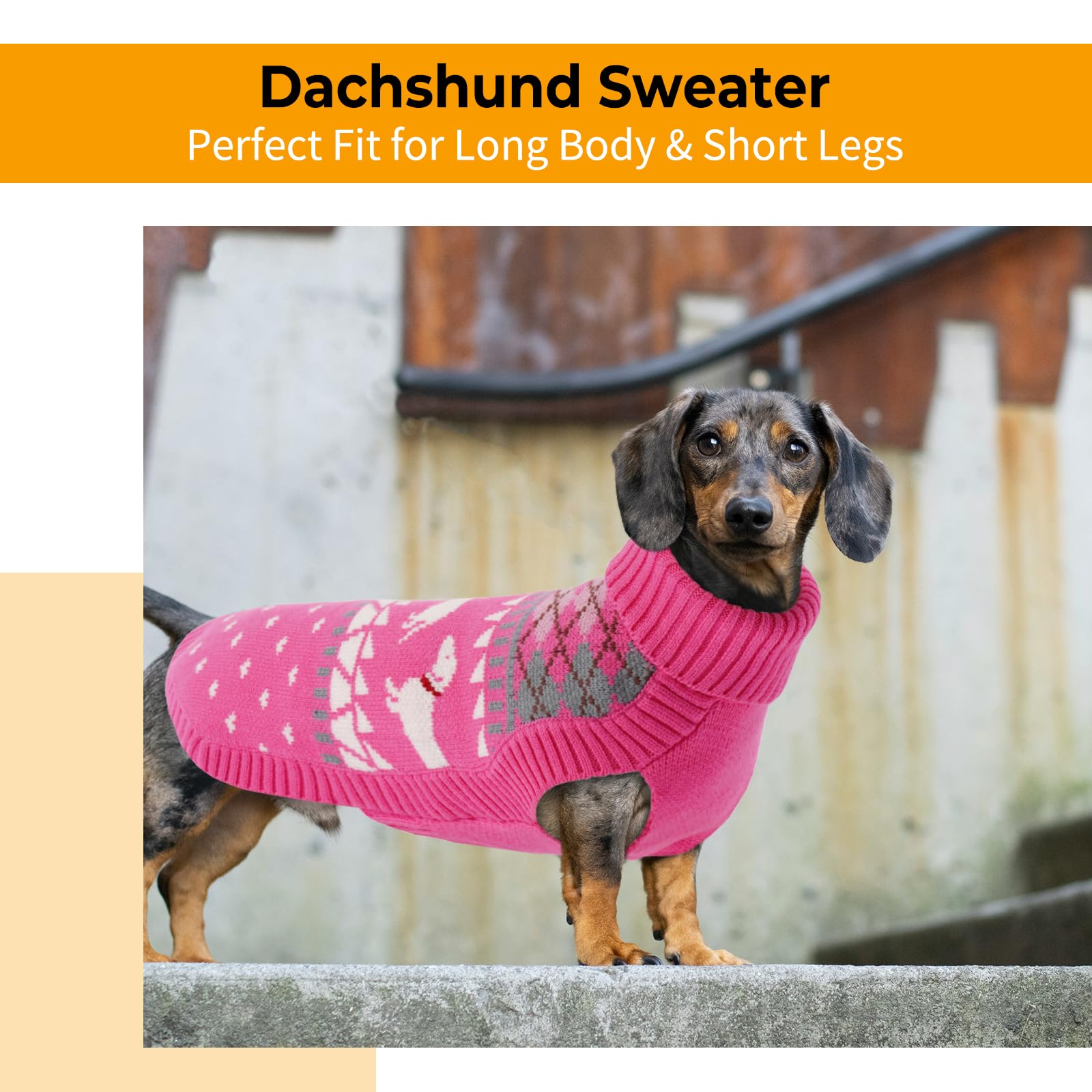 LeLePet sudadera dachshund ajuste ceñido evita subida
