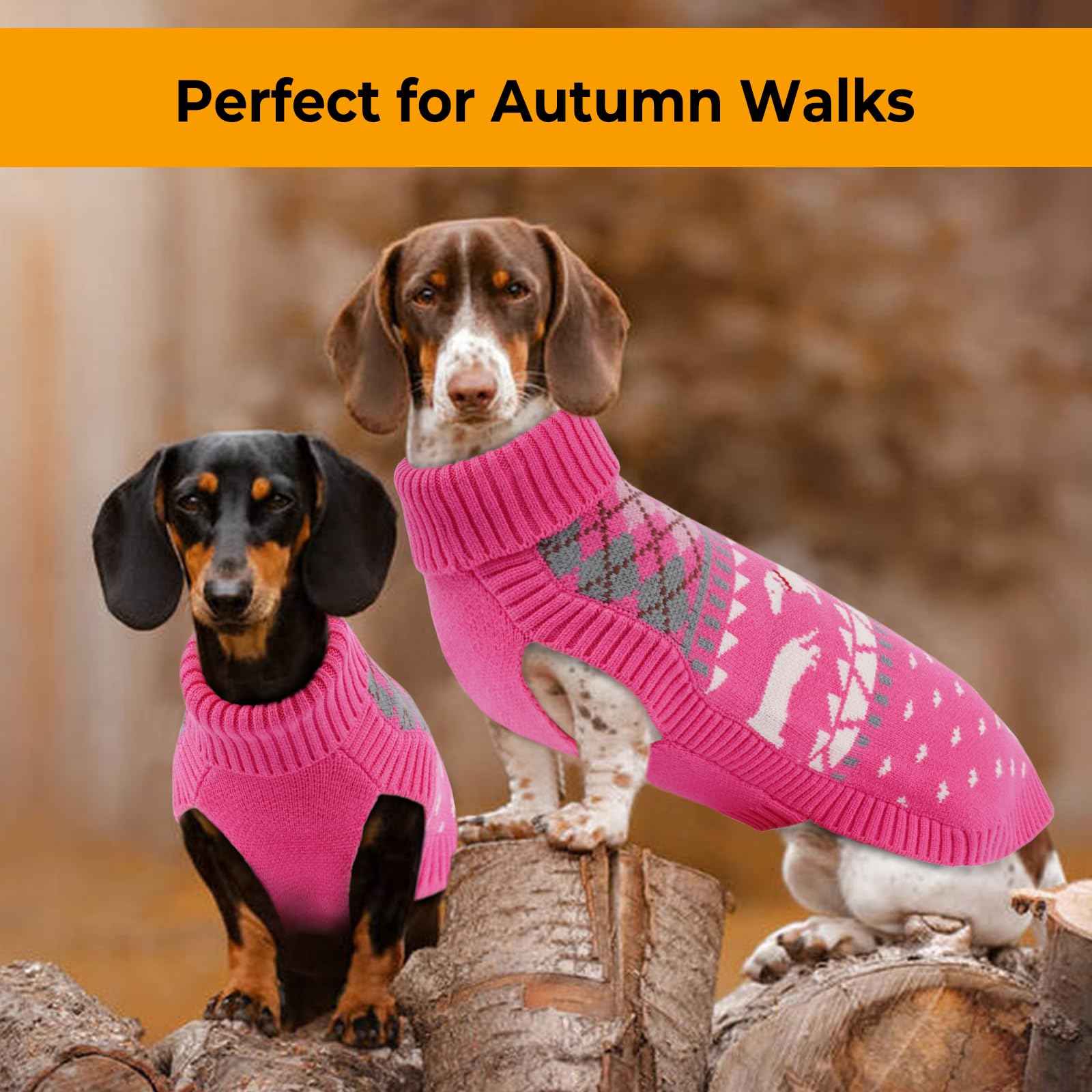 LeLePet sudadera dachshund ocasión navideña para fiestas