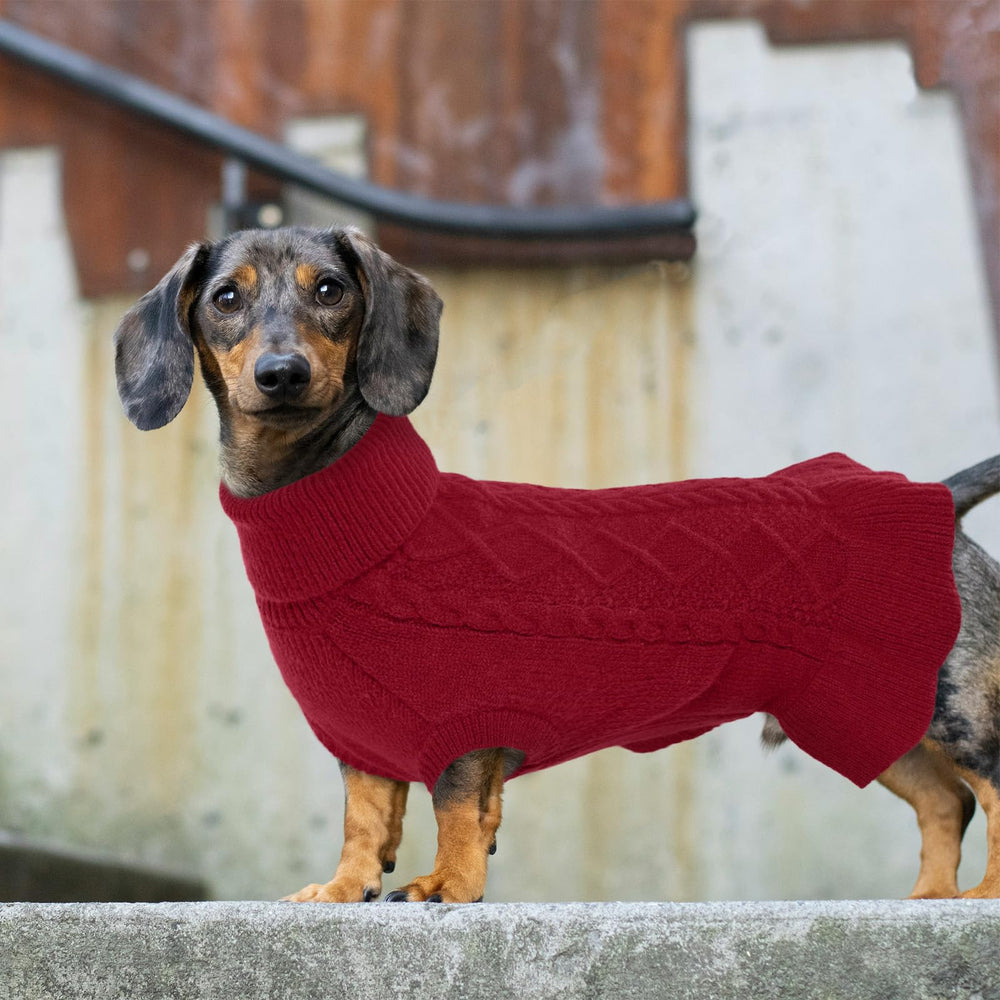 Suéter LeLePet talla XL para perros grandes rojos y cálidos.