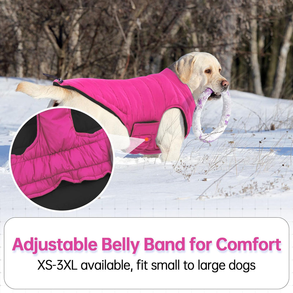 Tallas XS a 2XL para la mayoría de perros medianos.