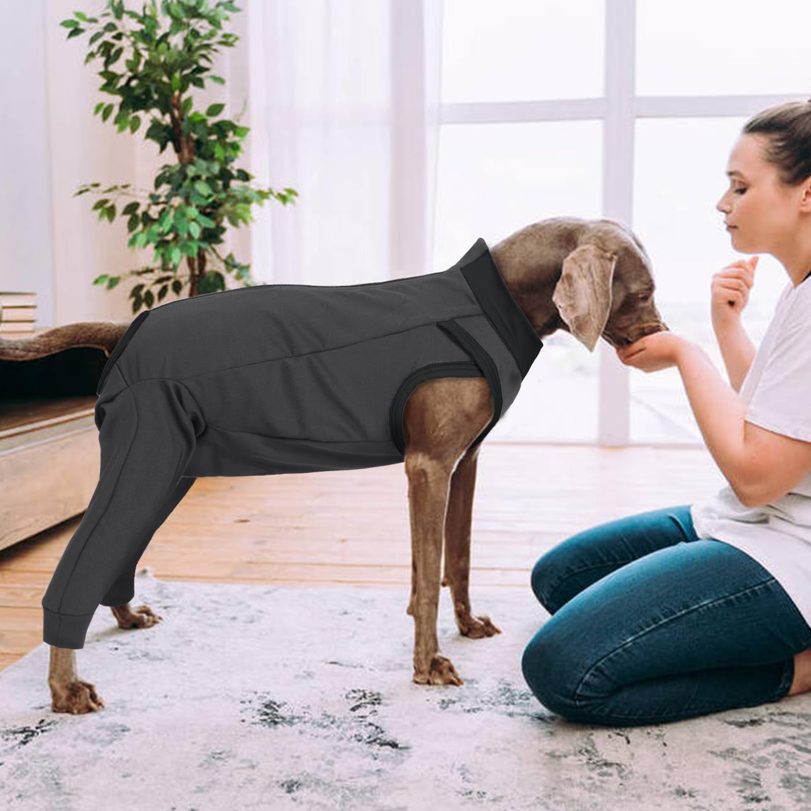LeLePet traje recuperación disponible en tallas XS-3XL para perros grandes o pequeños.