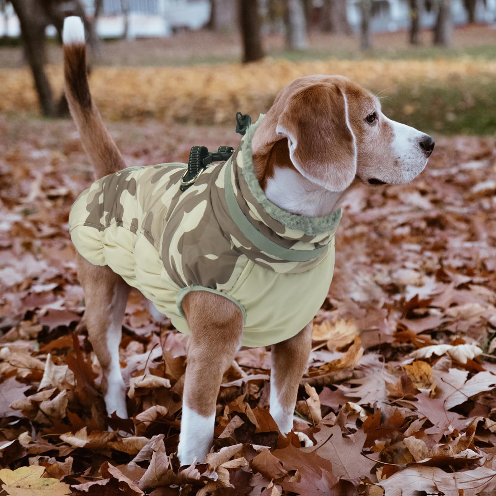 LeLePet tallas y colores variados para perros grandes y pequeños