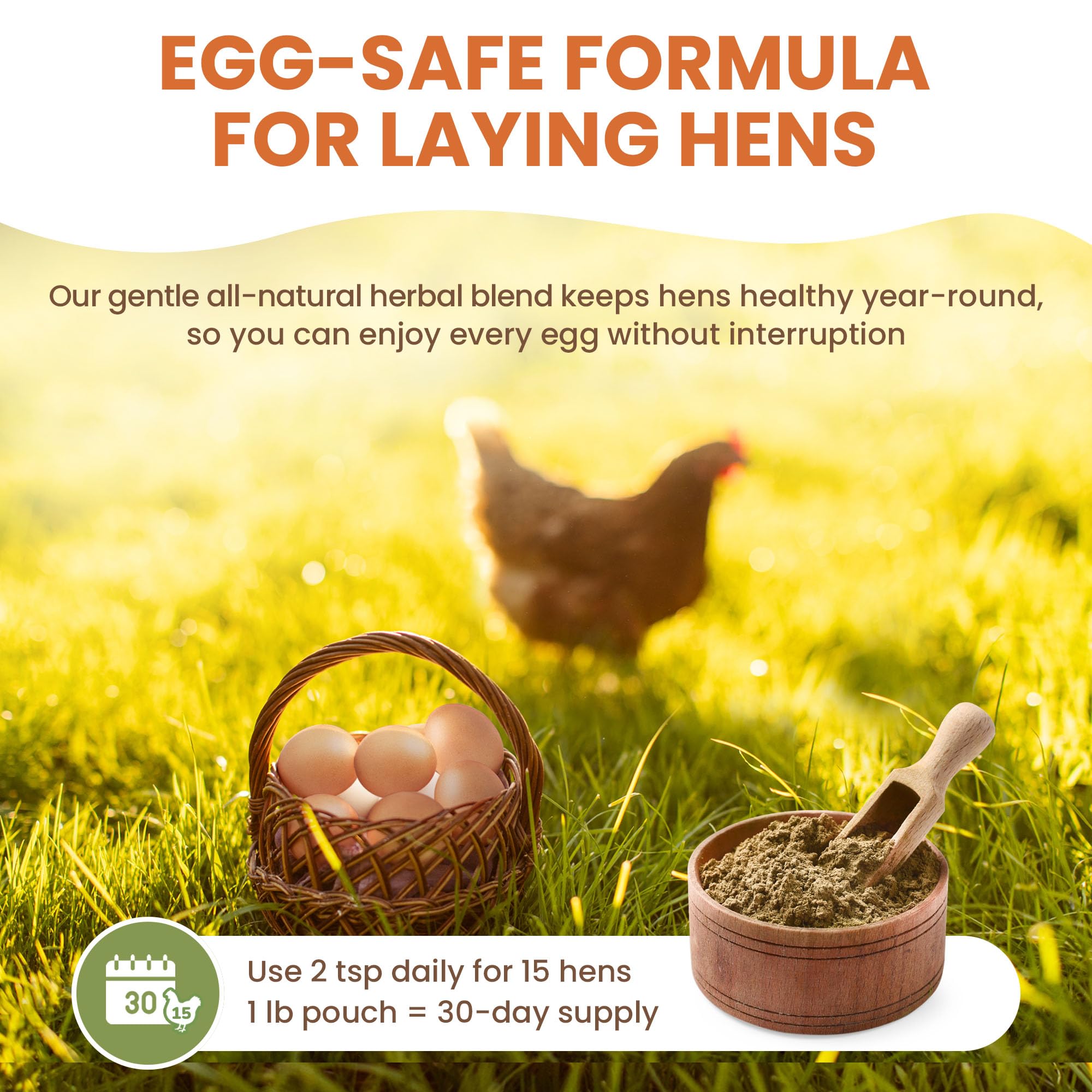 Ingredientes naturales de Lemant, mezcla herbal para bienestar.