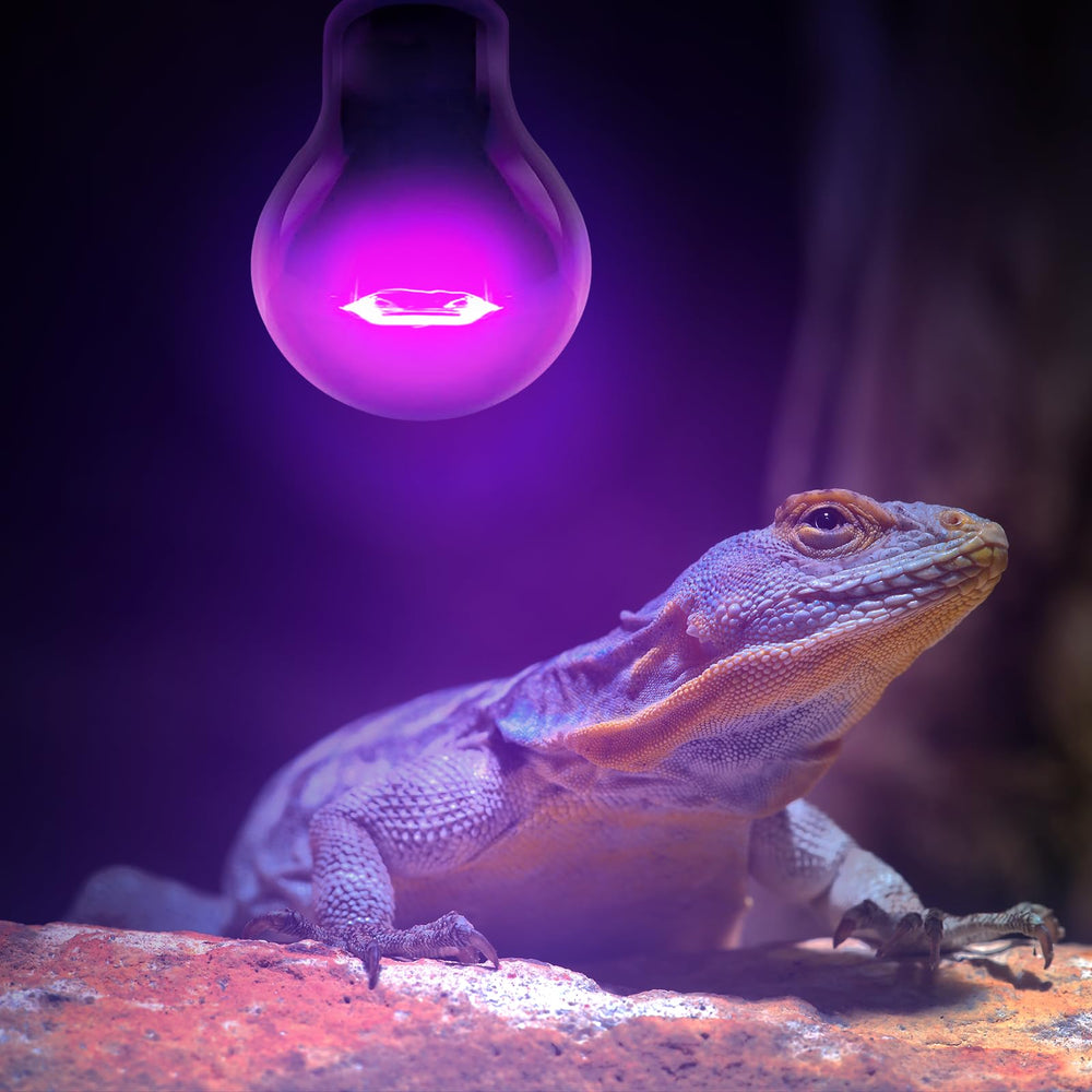Uso amplio Leoterra para reptiles y otros usos.