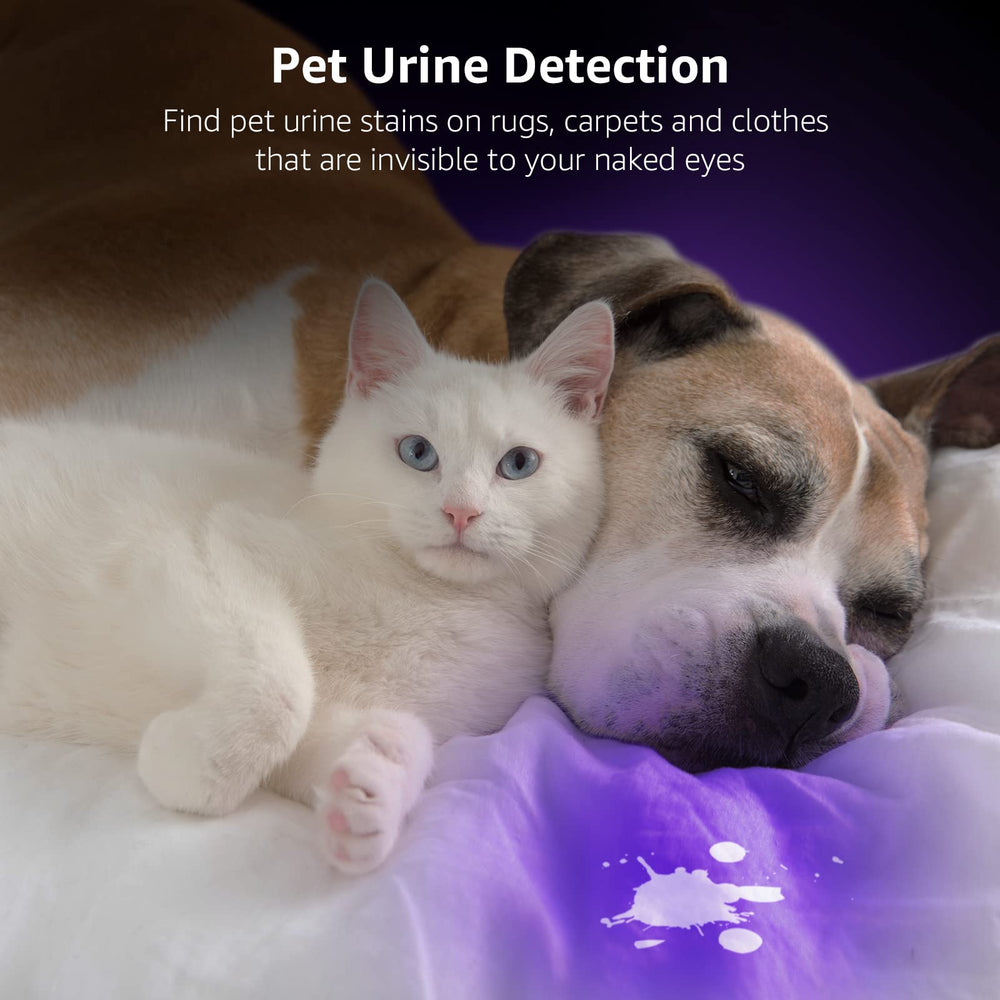 Lepro 51 LEDs UV, detecta orina de mascotas en alfombras y prendas.