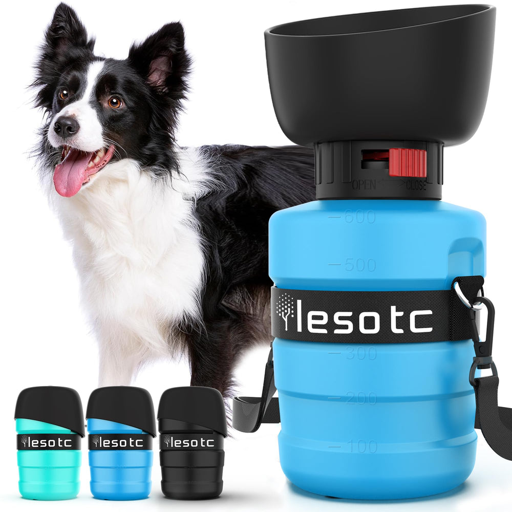 La botella Lesotc de agua para perros con cuenco plegable en uso durante un paseo.