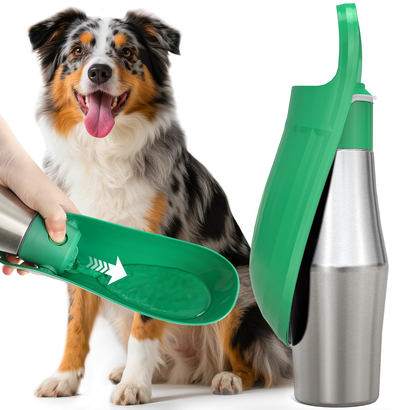 Uso en exterior: camping y senderismo con Lesotc para perros.