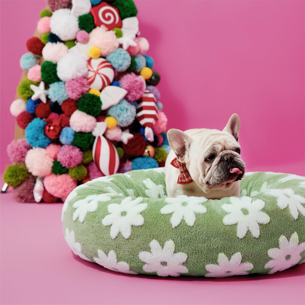 LE SURE cama perro donut redonda verde: confort suave para descansar tras paseos.