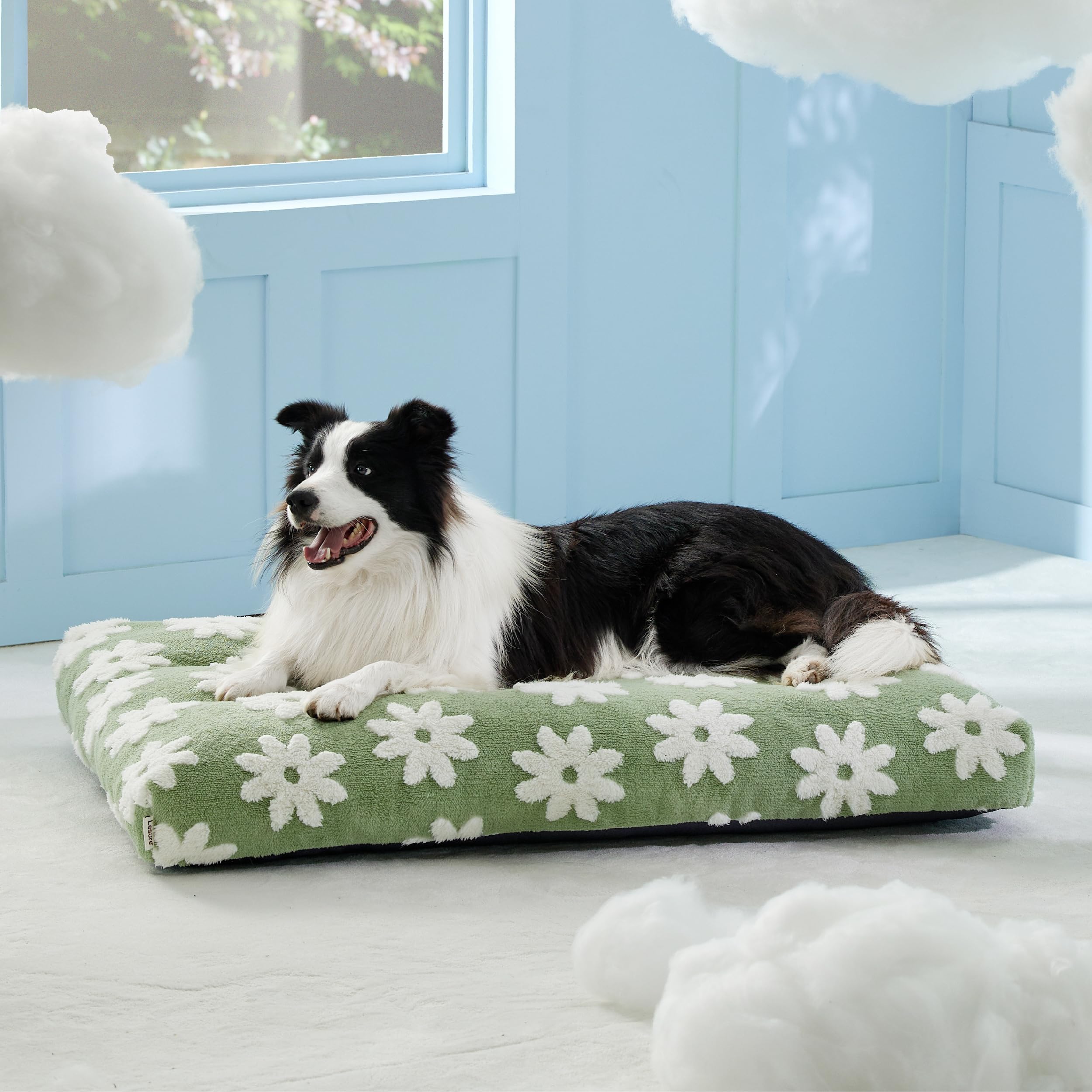 LE SURE cama para perros grandes, color verde suave para el hogar