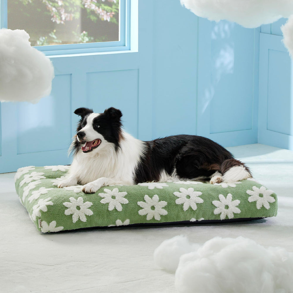 LE SURE cama para perros grandes, color verde suave para el hogar