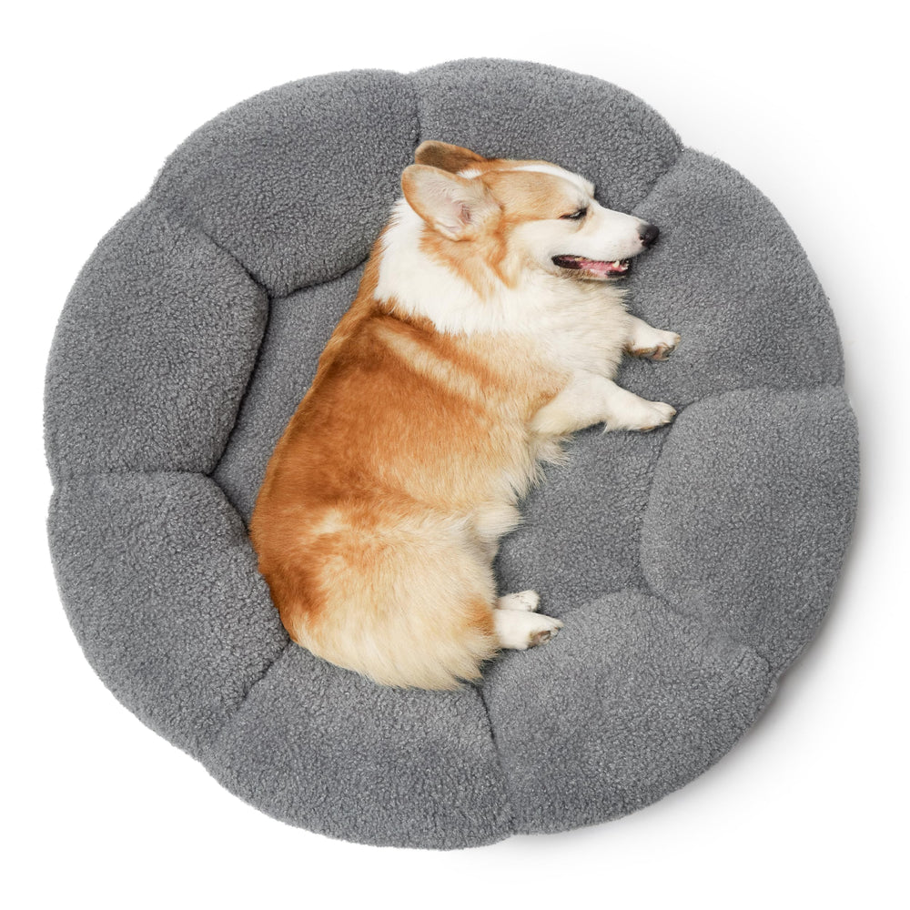 LE SURE cama grande para interiores, aporta estilo y confort.