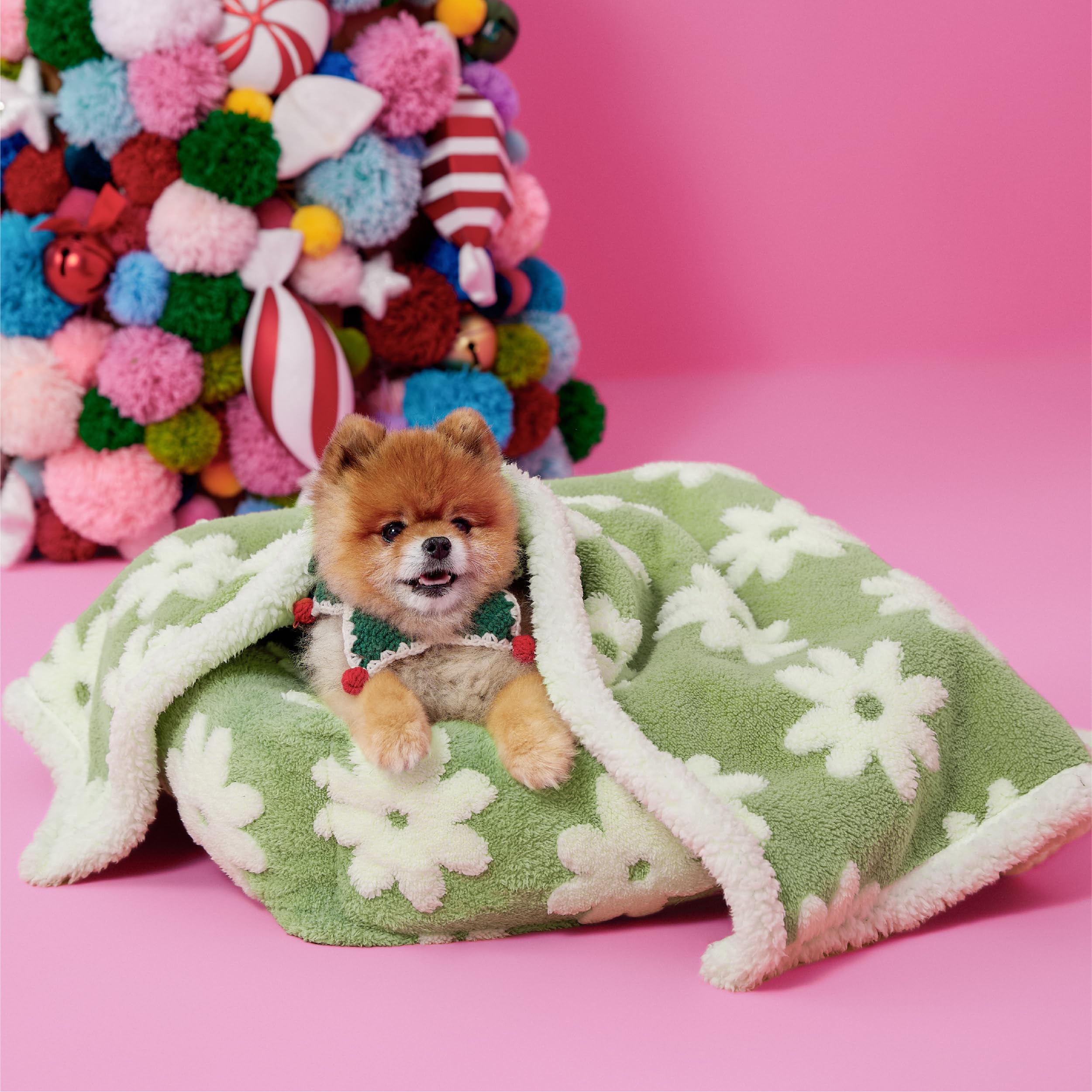 LE SURE manta impermeable con diseño flor para mantener al perro cálido y limpio