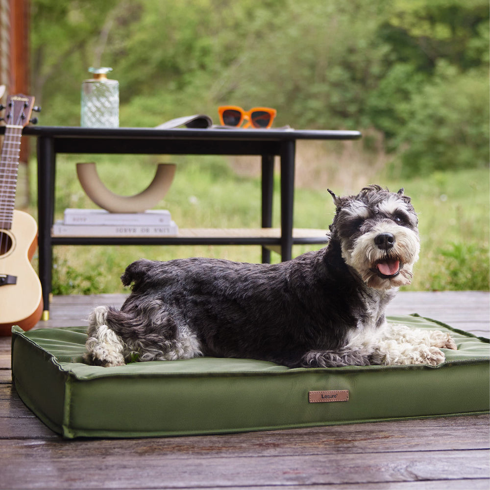 LE SURE color-verde-cobertura-cama-perro apta para decoración del hogar