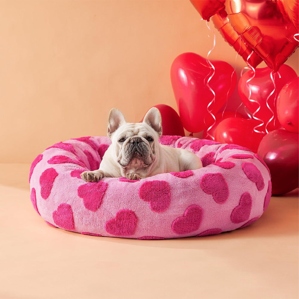 Cama Lesure Donut Medium para mascota, superficie redonda y suave para descansar.