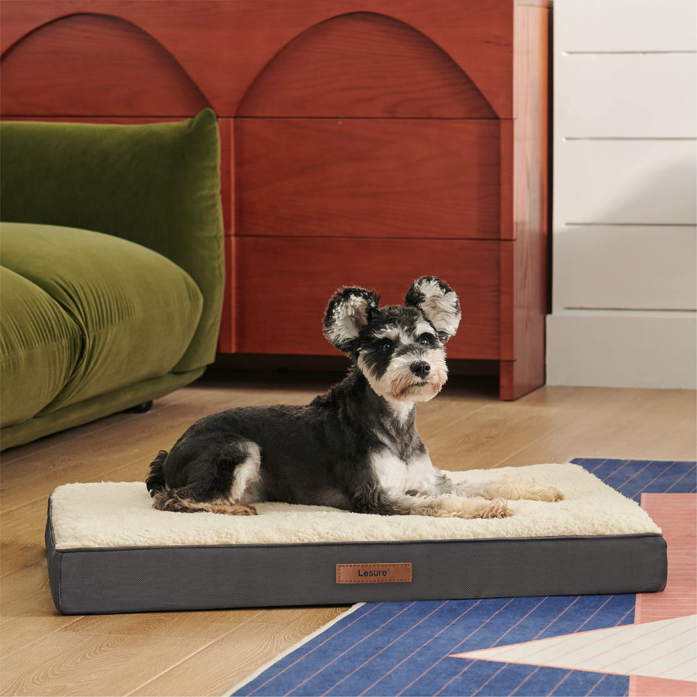 LE SURE: funda de repuesto ideal para mascotas traviesas.