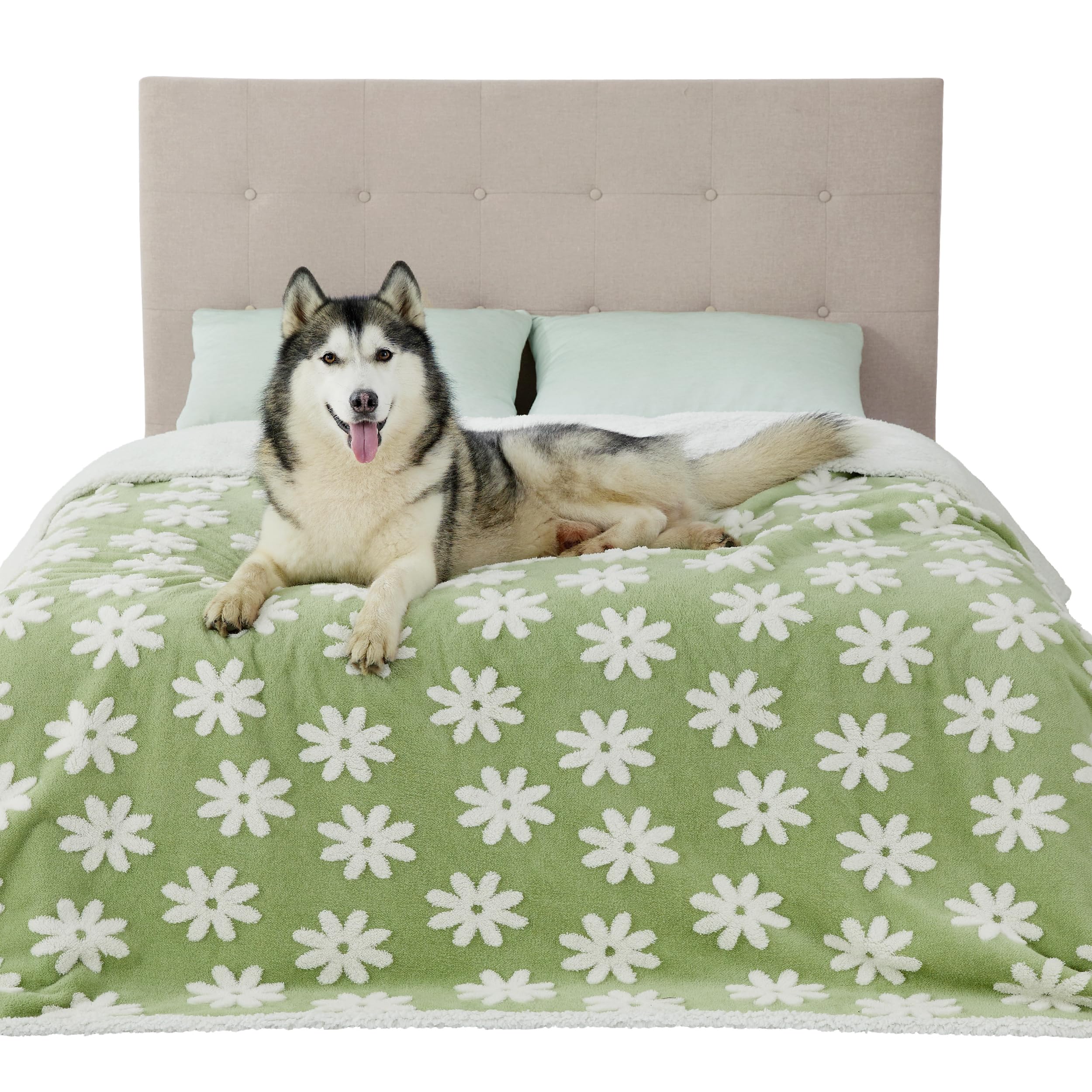 Manta impermeable LE SURE para perros grandes, doble cara protege muebles.