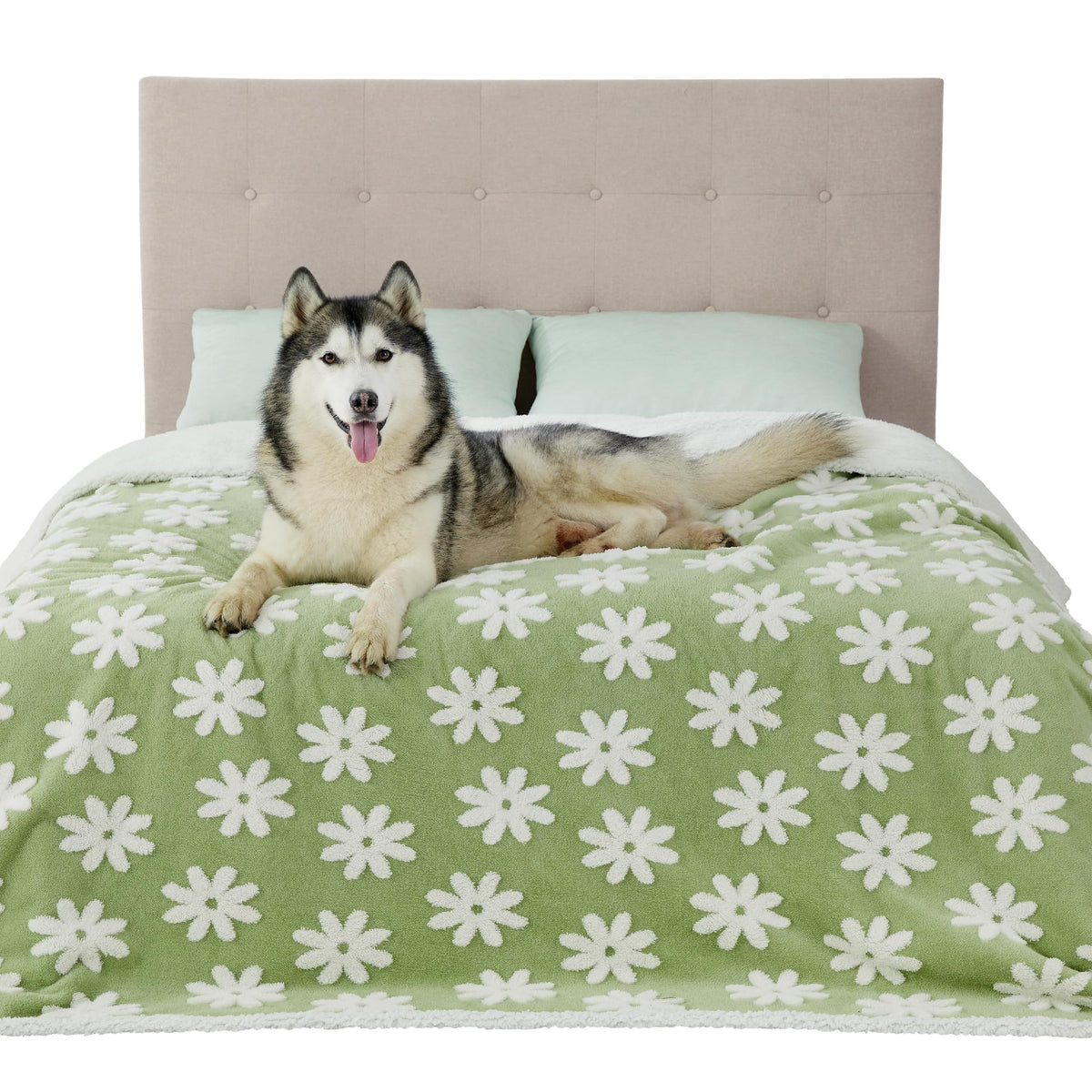 Manta impermeable LE SURE para perros grandes, doble cara protege muebles.