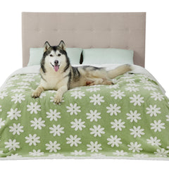 Manta impermeable LE SURE para perros grandes, doble cara protege muebles.