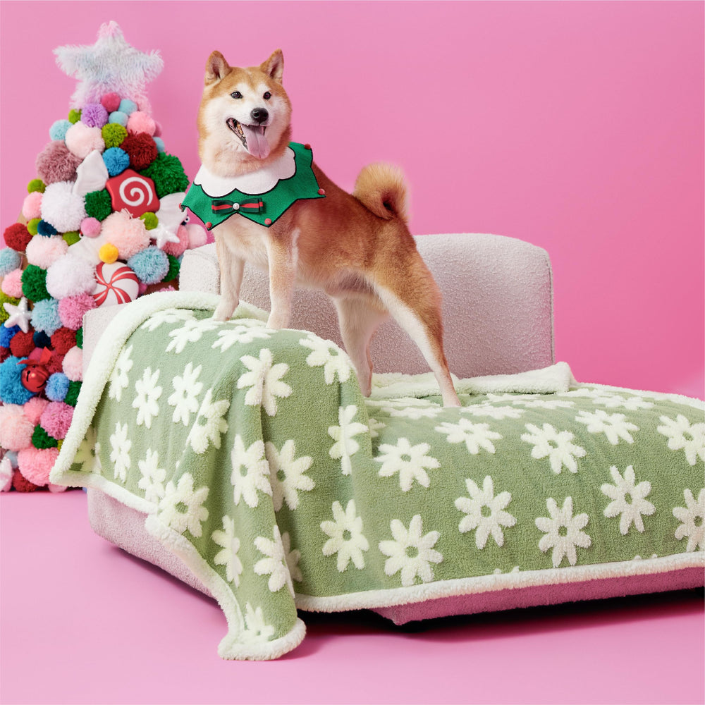 LE SURE manta impermeable para perros, nube 3D, protege muebles y mantiene cómodo a la mascota.