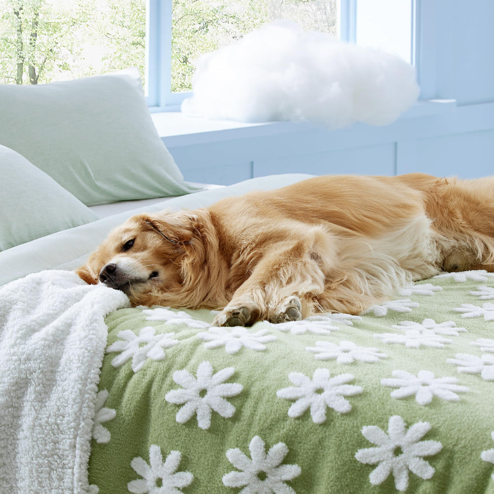 Protege cama King con LE SURE, manteniendo textiles limpios.