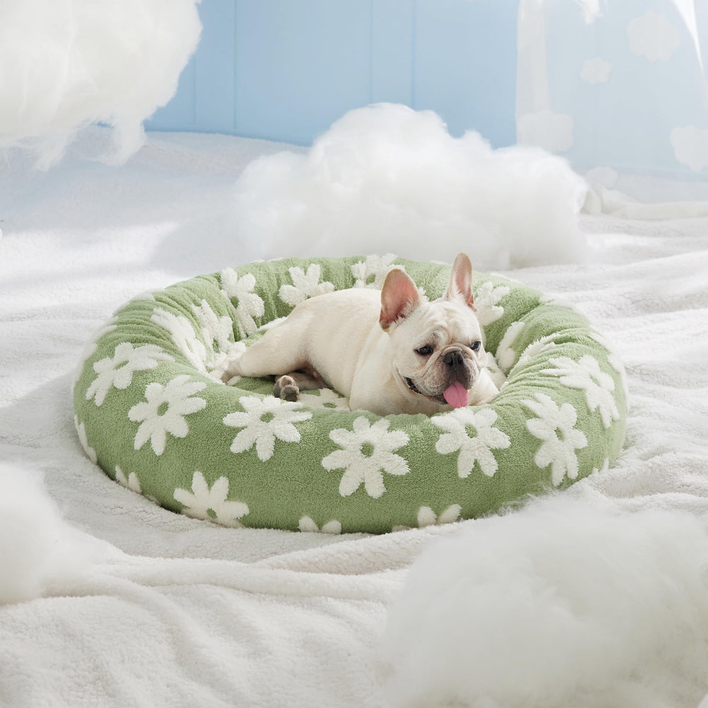 LE SURE tamaño 30 pulgadas verde: opción ideal para mascotas pequeñas y medianas.