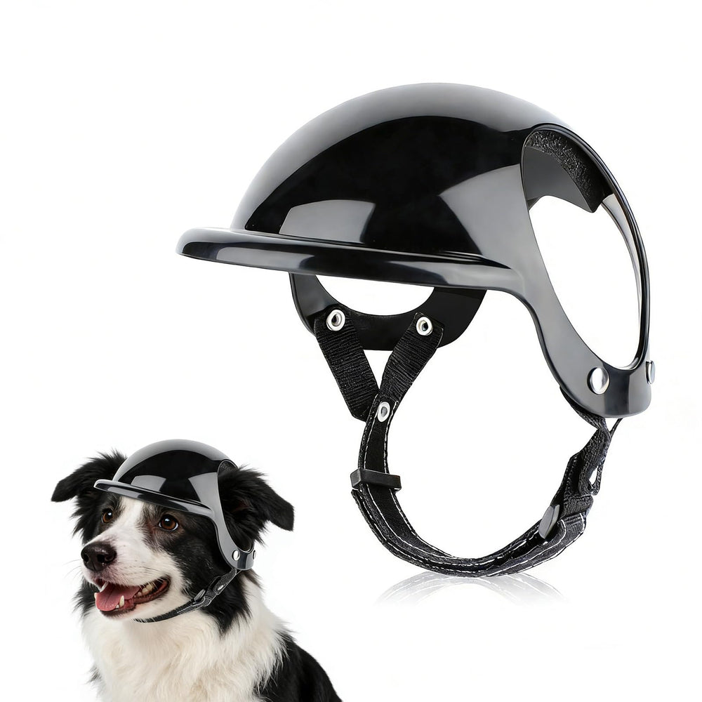 Casco LESYPET para perro mediano colocado en la cabeza, protección para paseos diarios